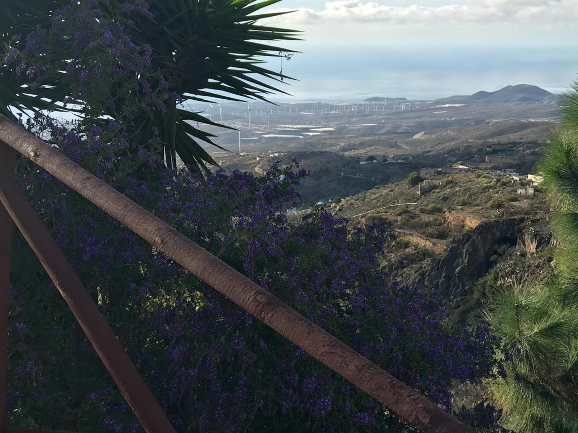 Finca Las Polinarias Casa Cueva En Fasnia Σάντα Κρουζ Τενερίφης Εξωτερικό φωτογραφία