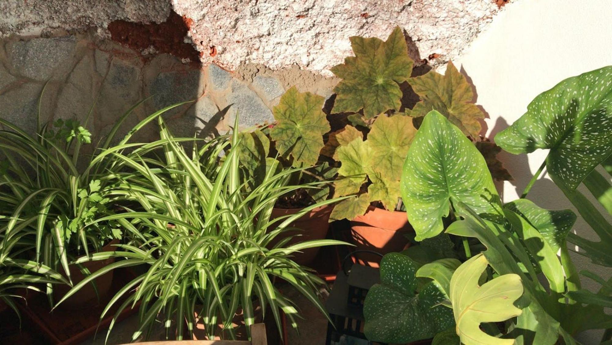 Finca Las Polinarias Casa Cueva En Fasnia Σάντα Κρουζ Τενερίφης Εξωτερικό φωτογραφία