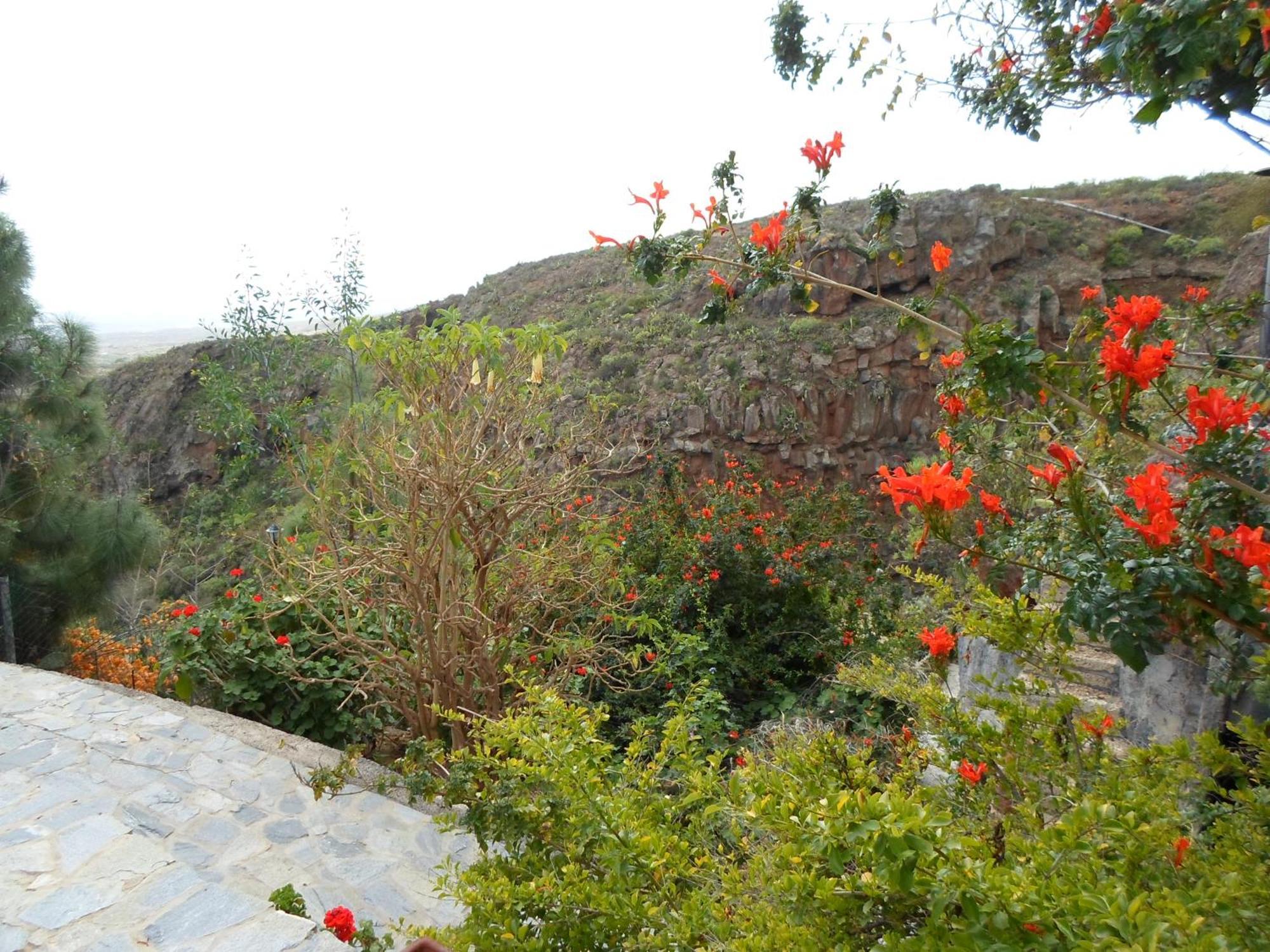 Finca Las Polinarias Casa Cueva En Fasnia Σάντα Κρουζ Τενερίφης Εξωτερικό φωτογραφία